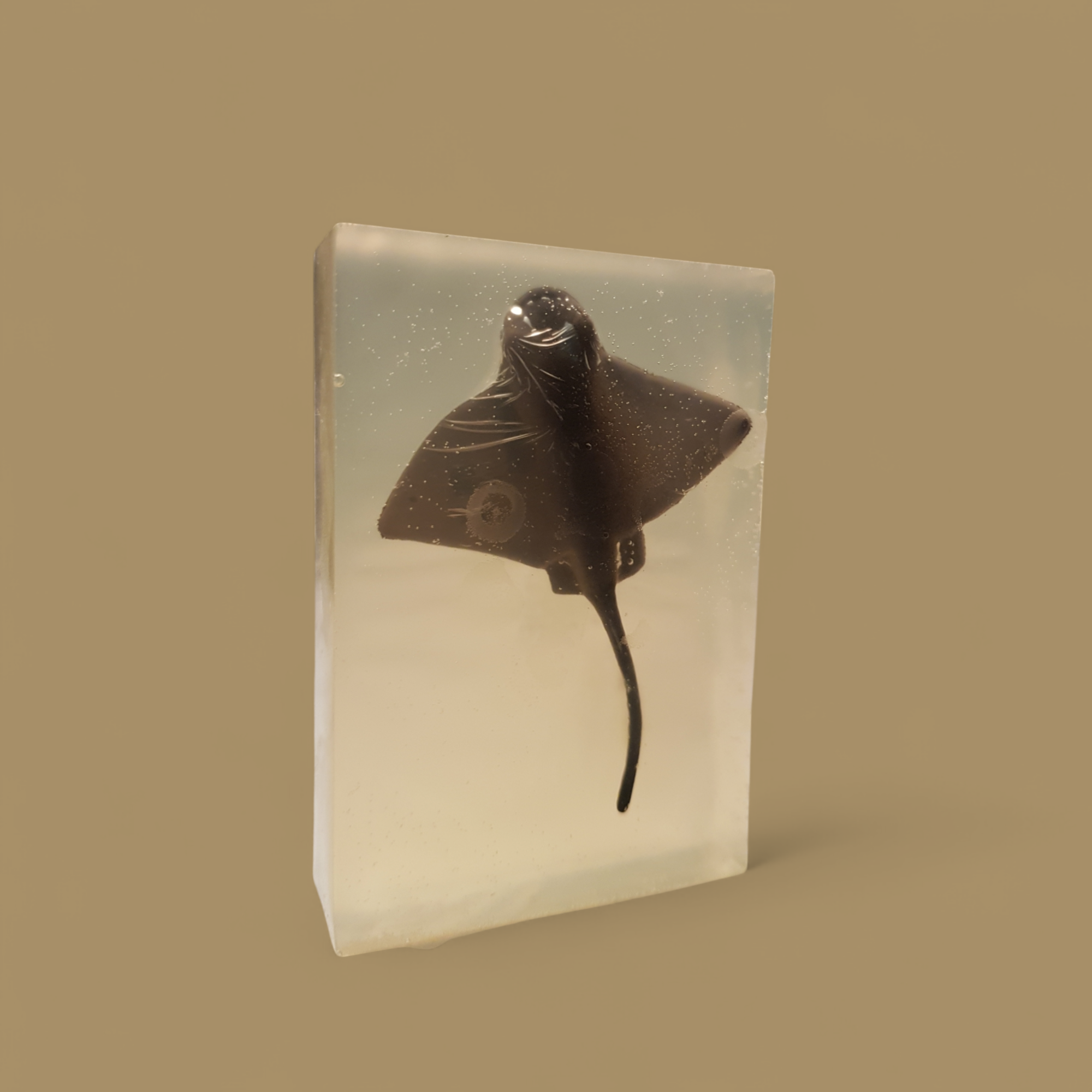 Savon Surprise – 99% d’ingrédients naturels • Avec jouet caché •